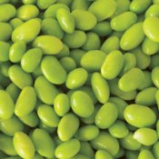 Edible Soy Bean Seeds