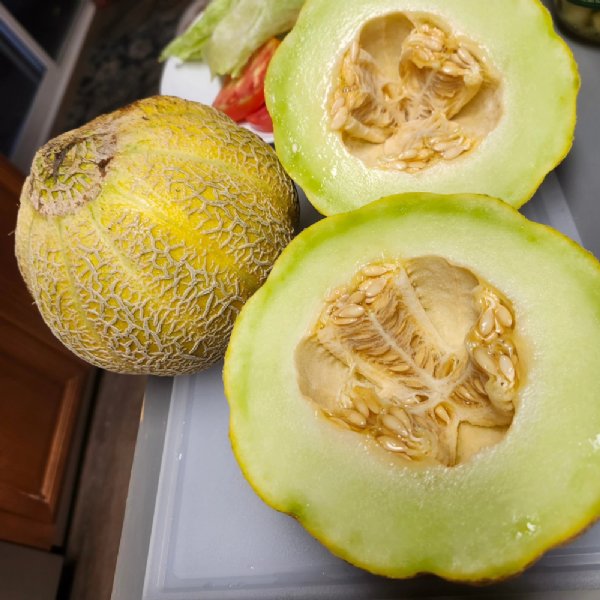 Jenny Lind Cantaloupe Seeds