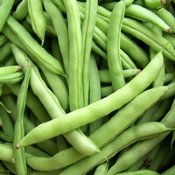 Runner Bean Seeds