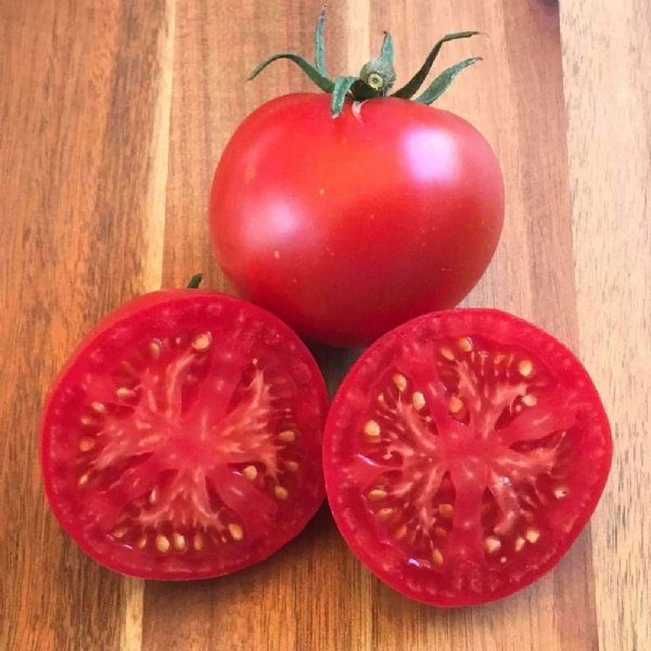 Thessaloniki Tomato Seeds